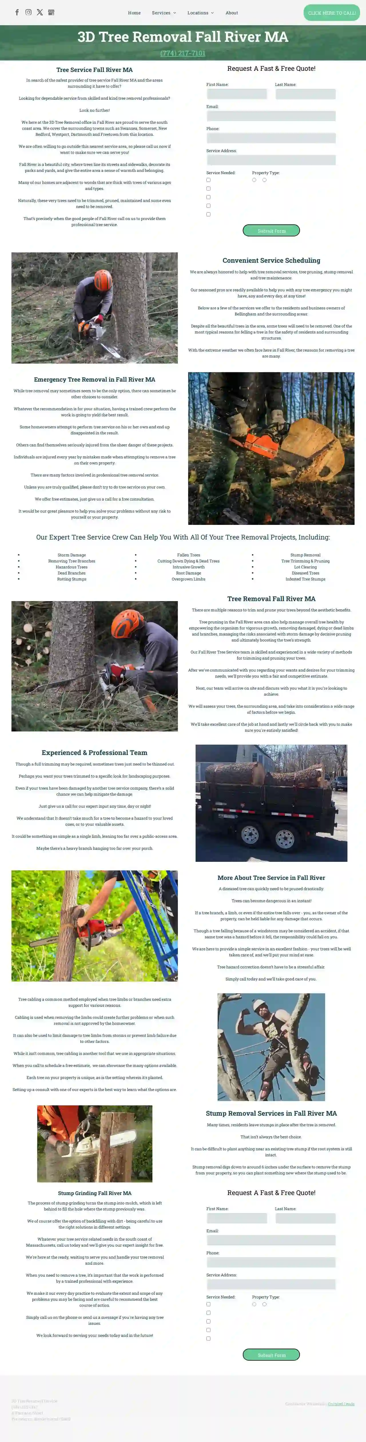 3D Tree Removal Service