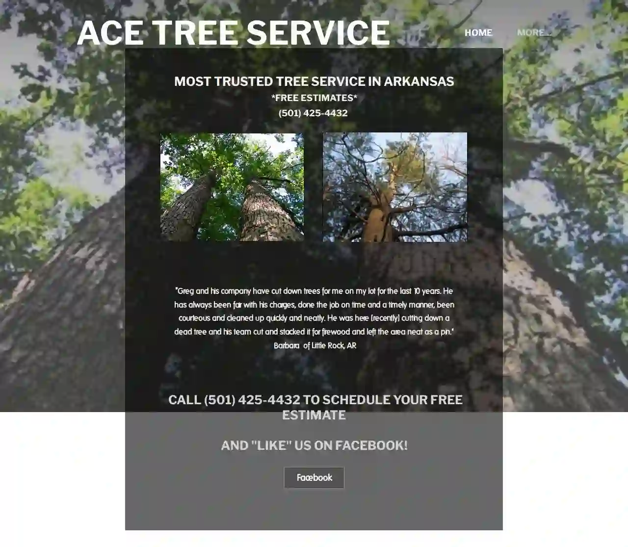 Ace Tree Service