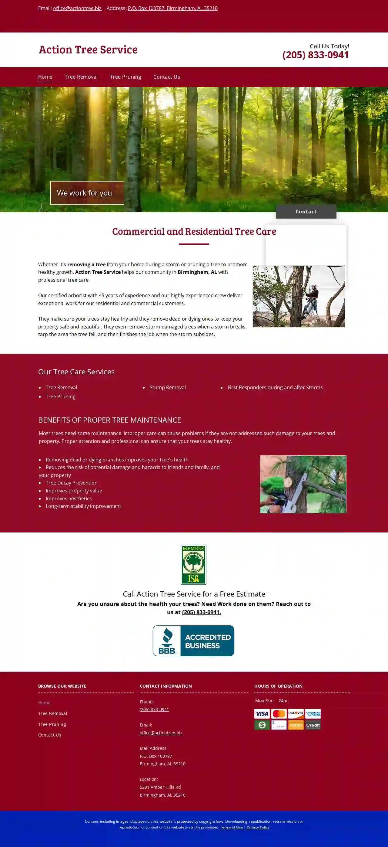 Action Tree Service