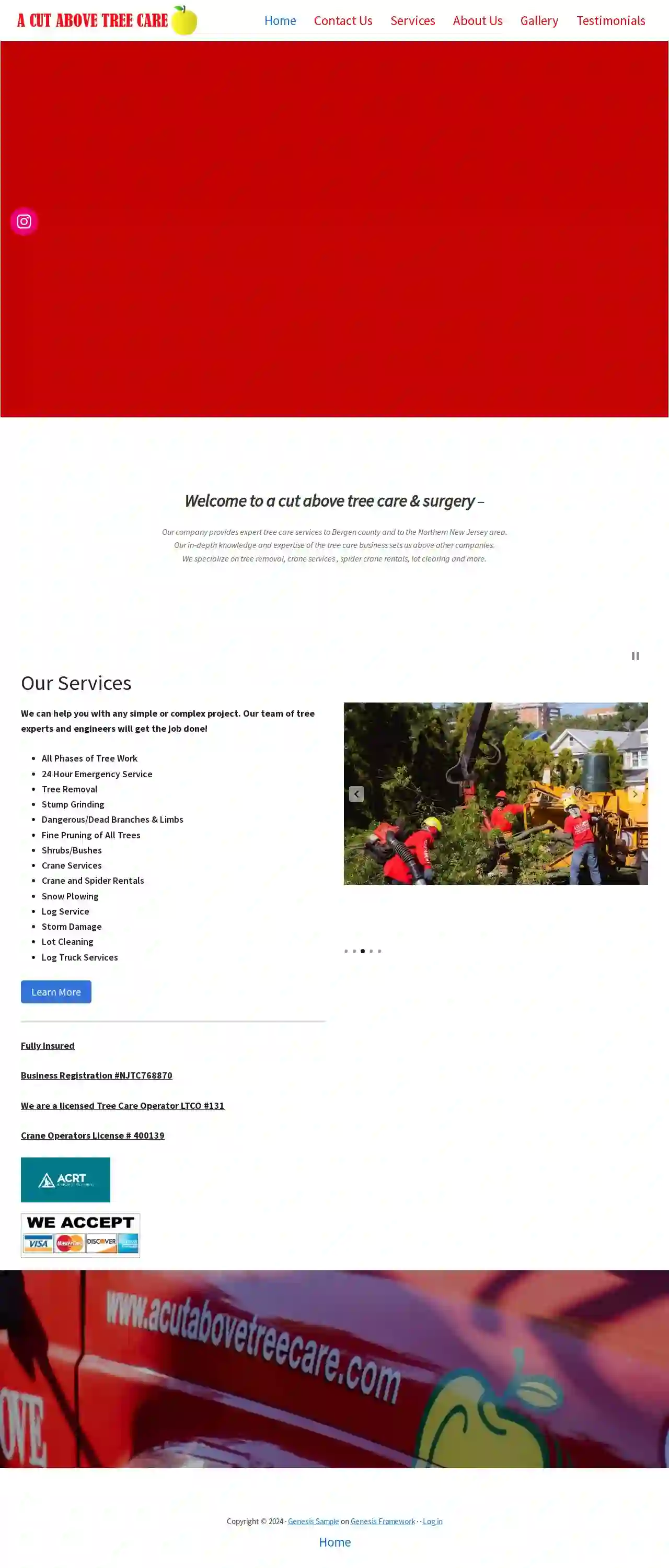 A Cut Above Tree Care & Service