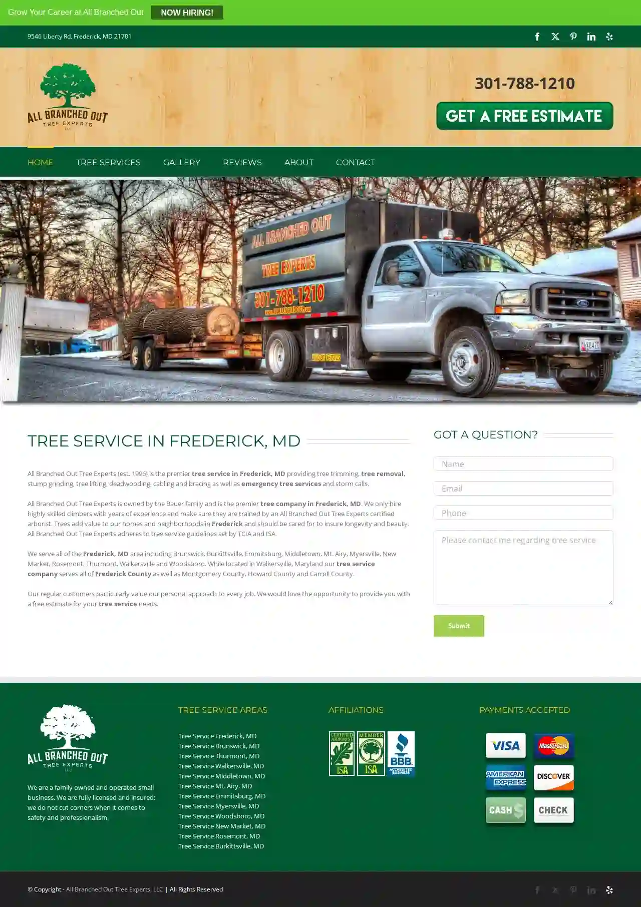 All Branched Out Tree Experts