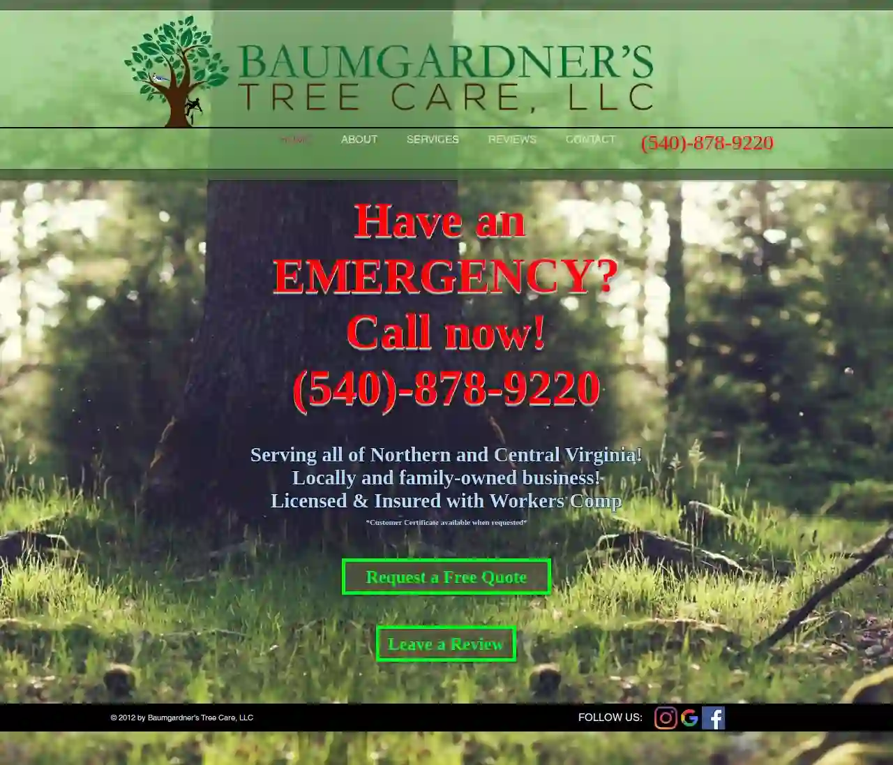 Baumgardner's Tree Care