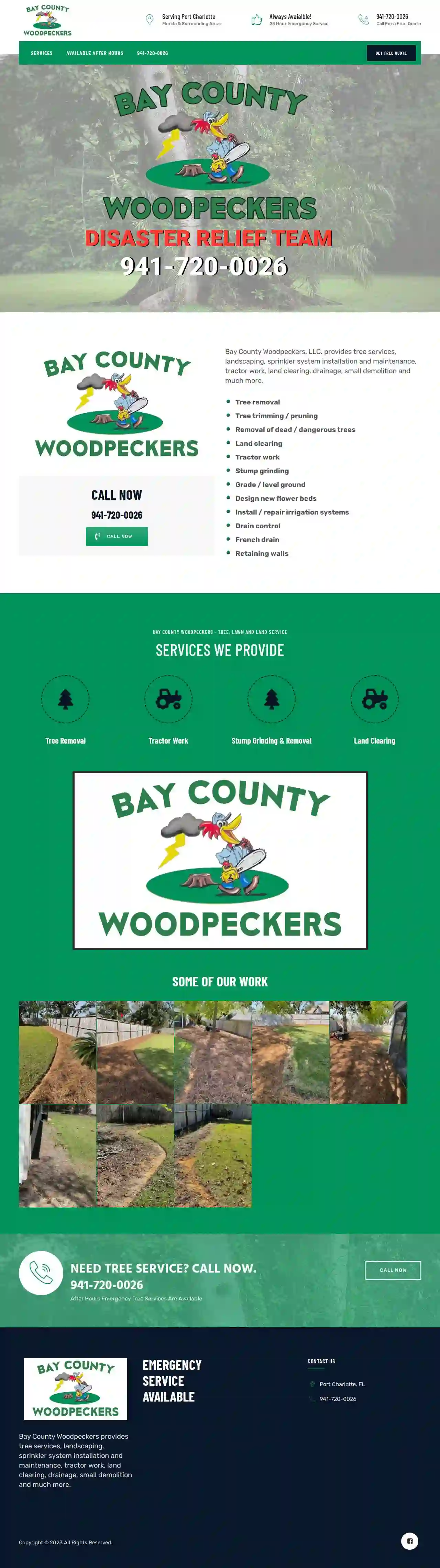 Bay County Woodpeckers