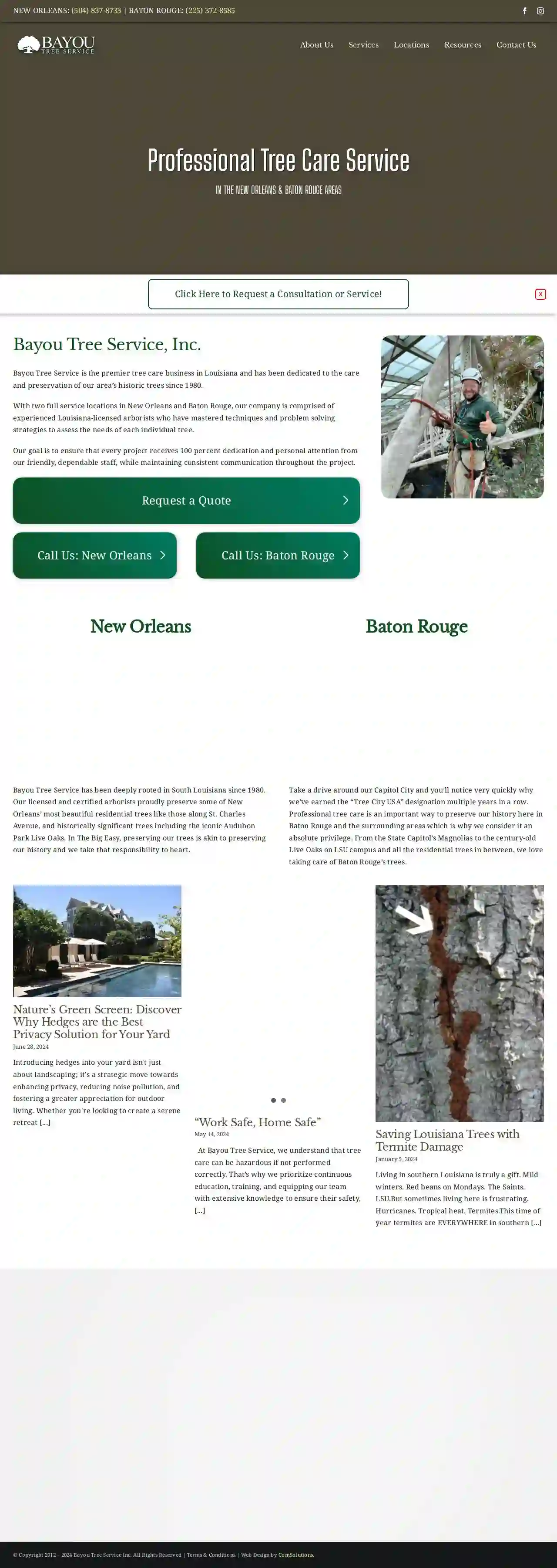 Bayou Tree Service, Inc.