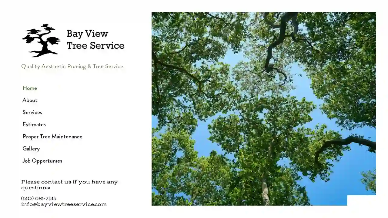 Bay View Tree Service