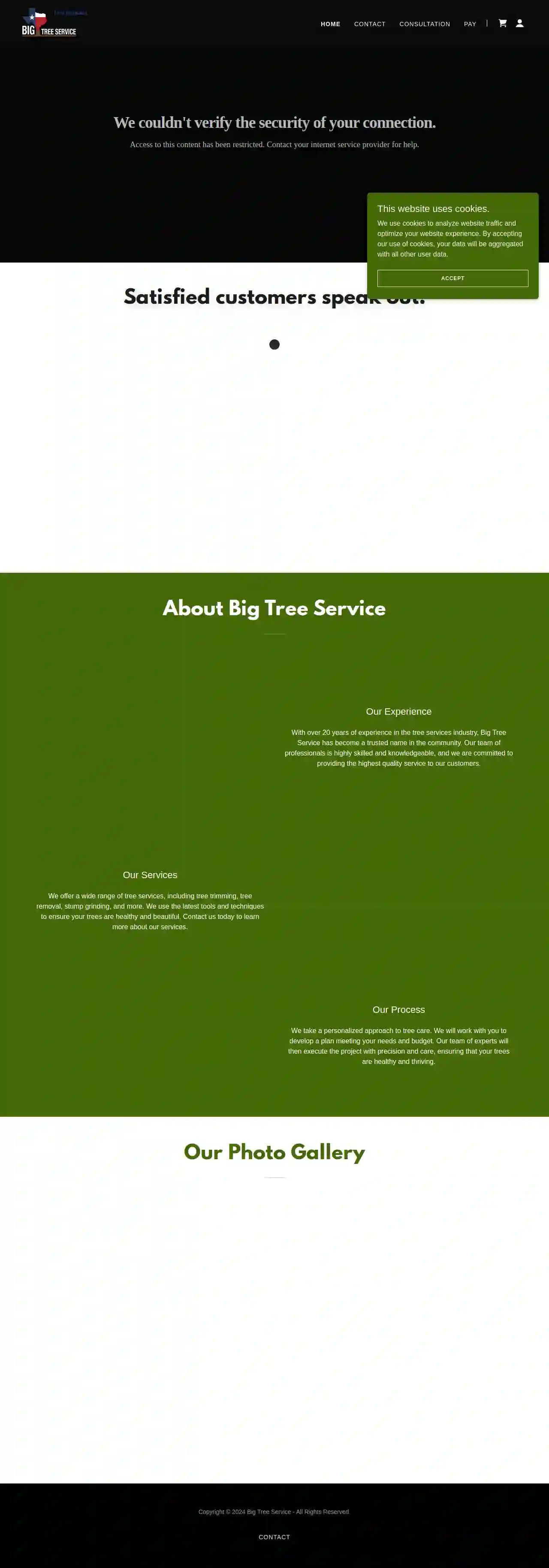 Big Tree Service