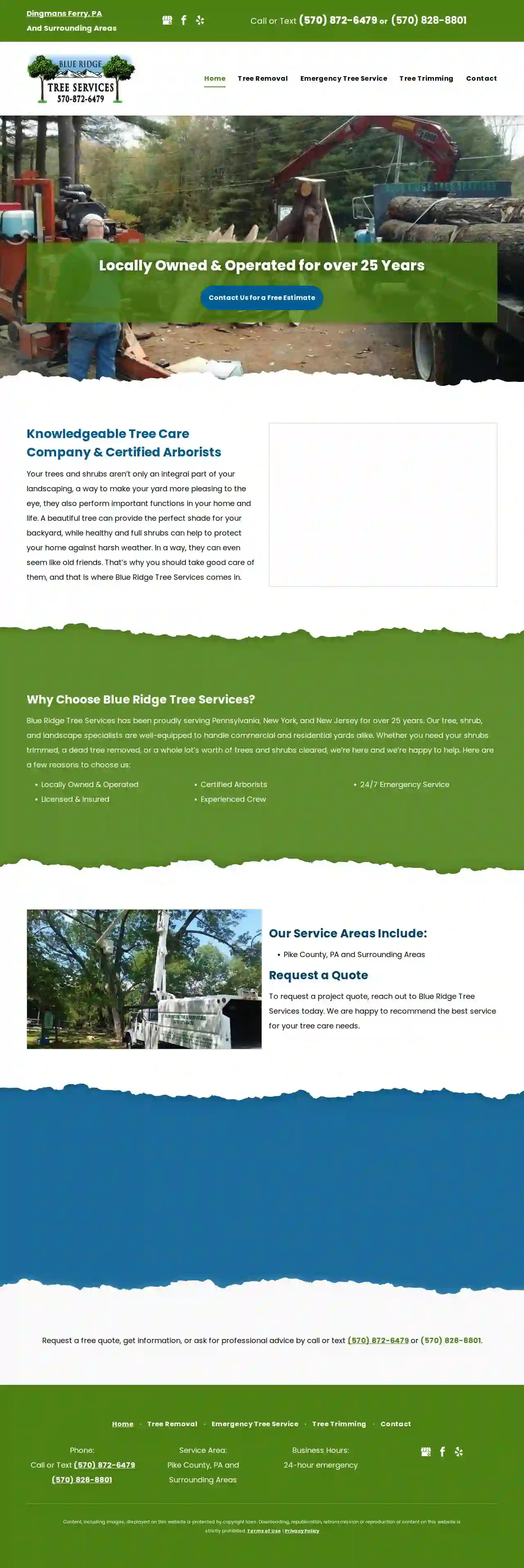 Blue Ridge Tree Services LLC