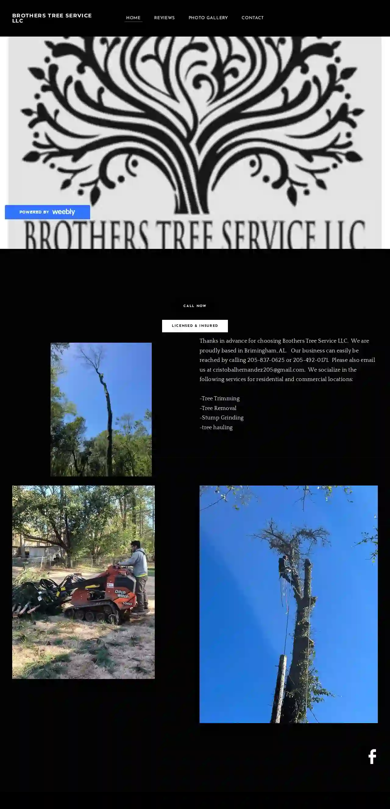 Brothers Tree Service LLC