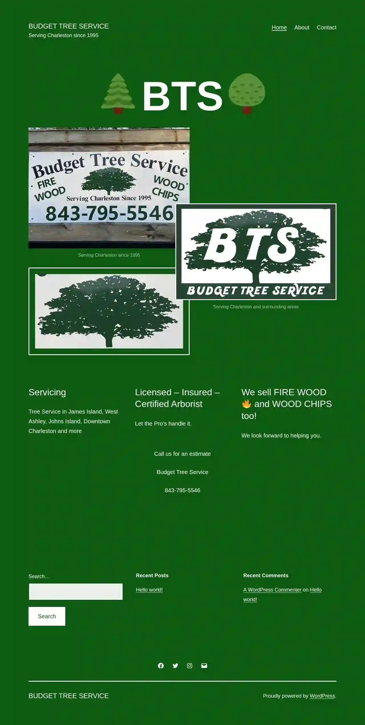 Budget Tree Services