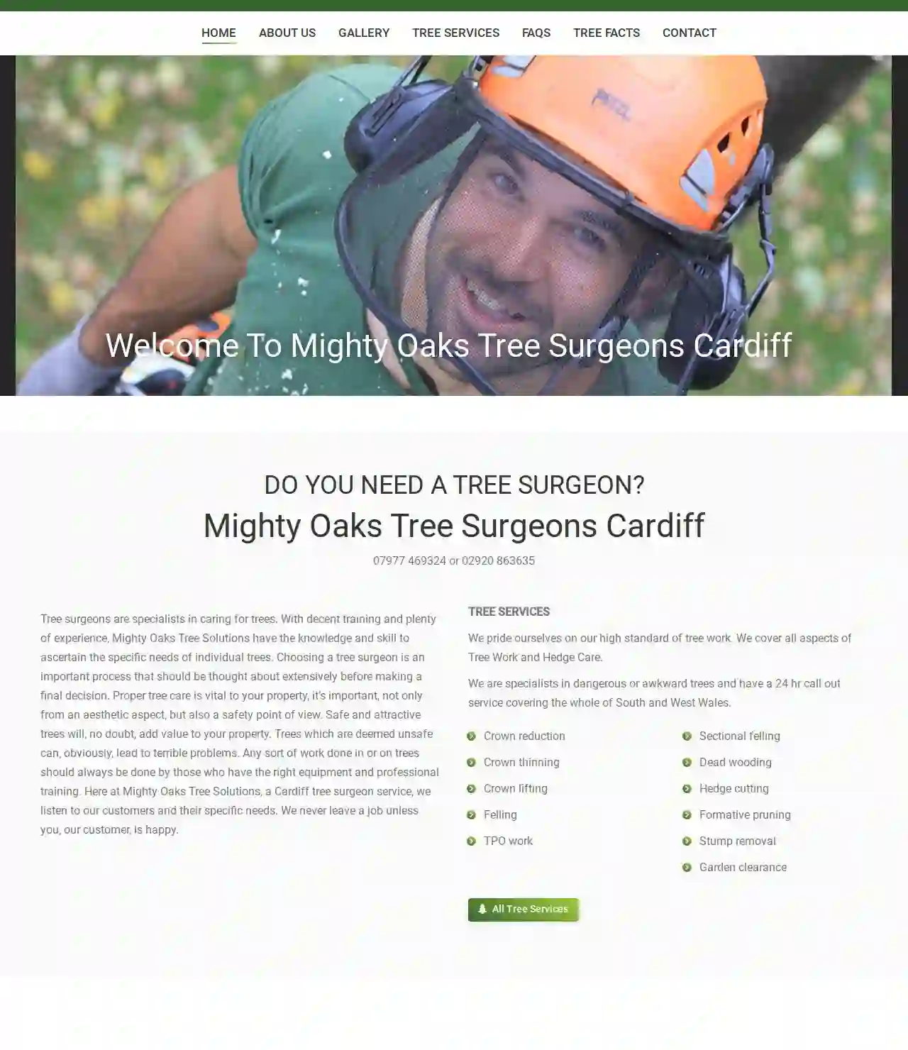 Mighty Oaks Tree Solutions Ltd