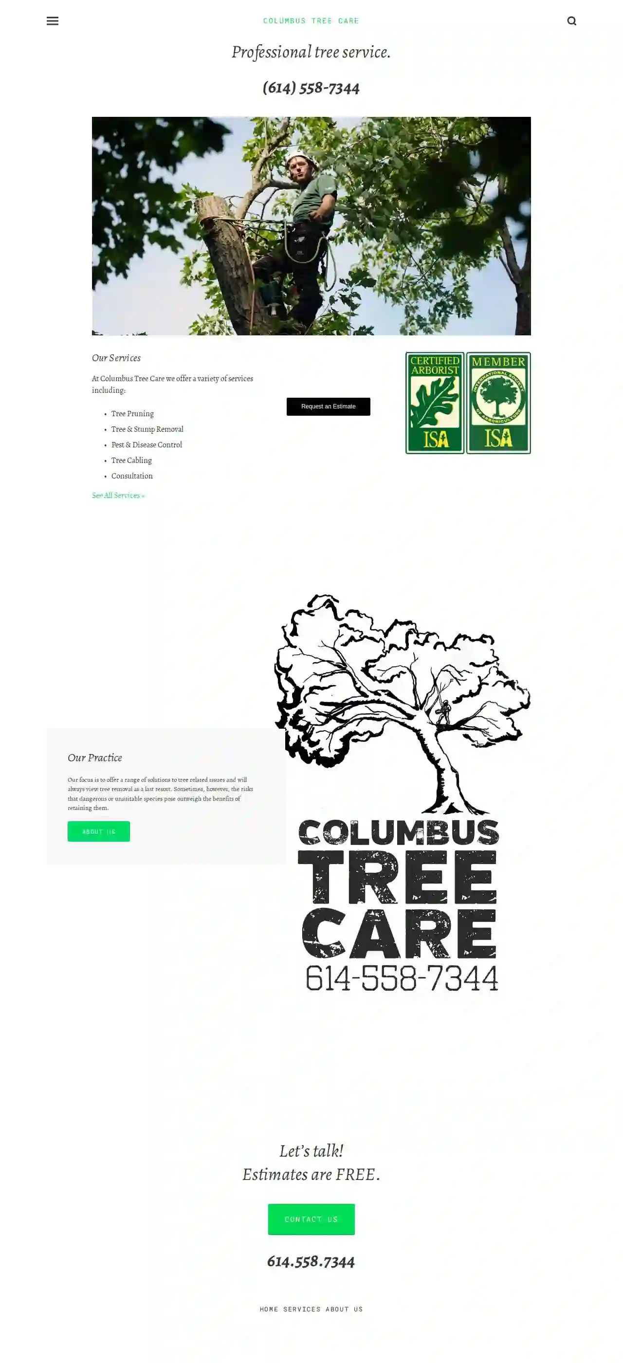 Columbus tree care