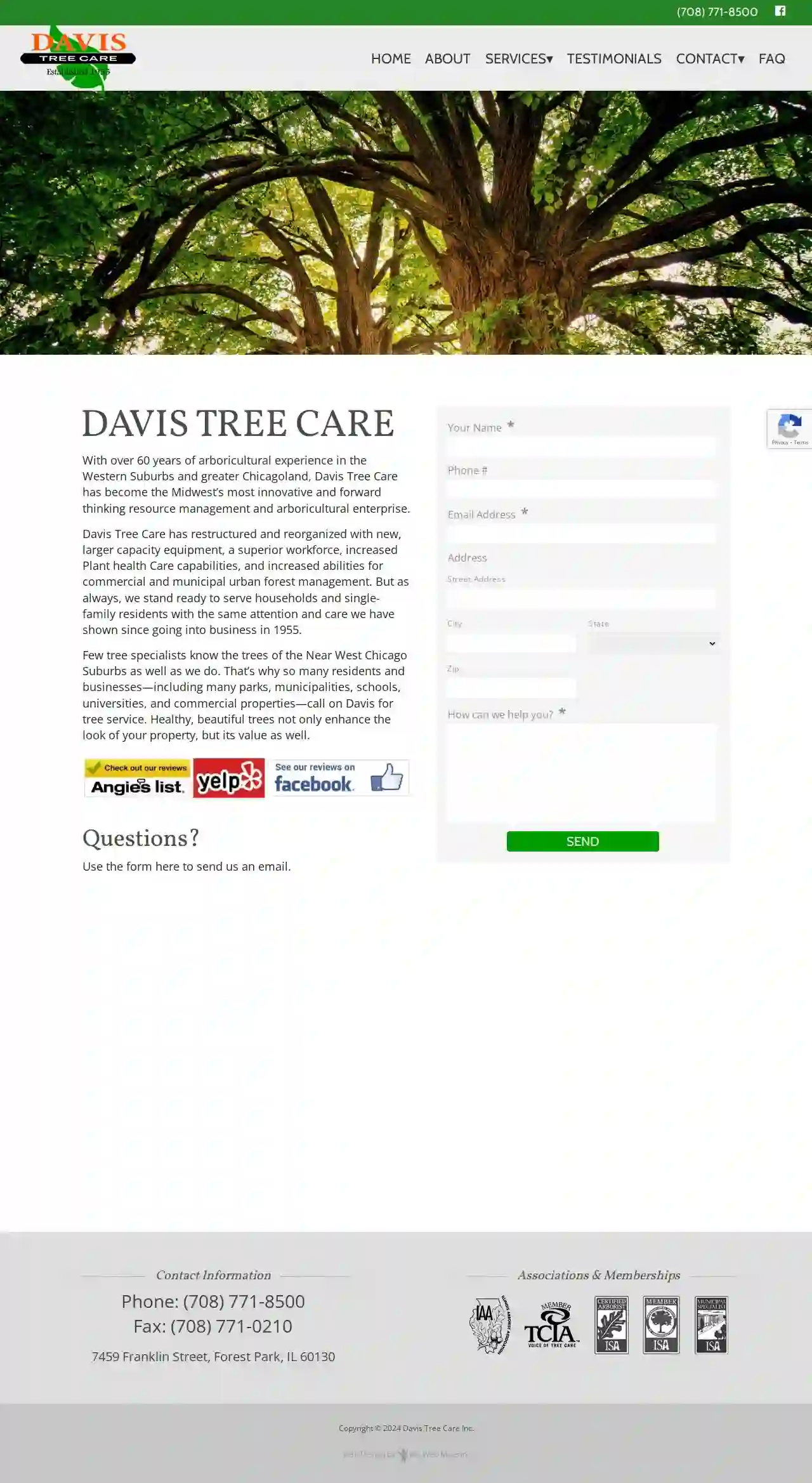 Davis Tree Care & Landscaping