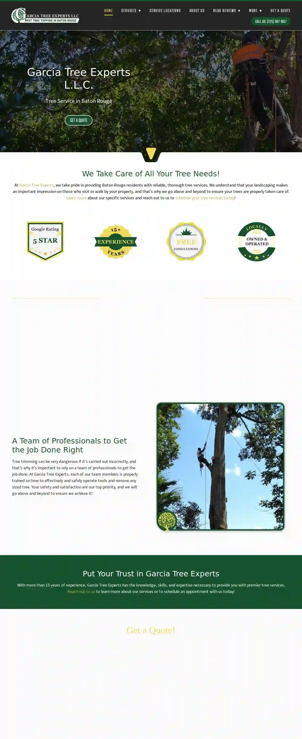 Garcia Tree Experts Tree Removal