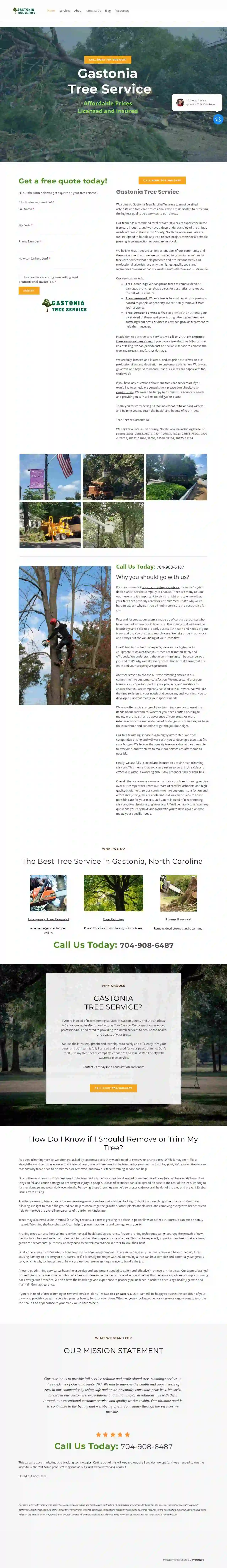 Gastonia Tree Service