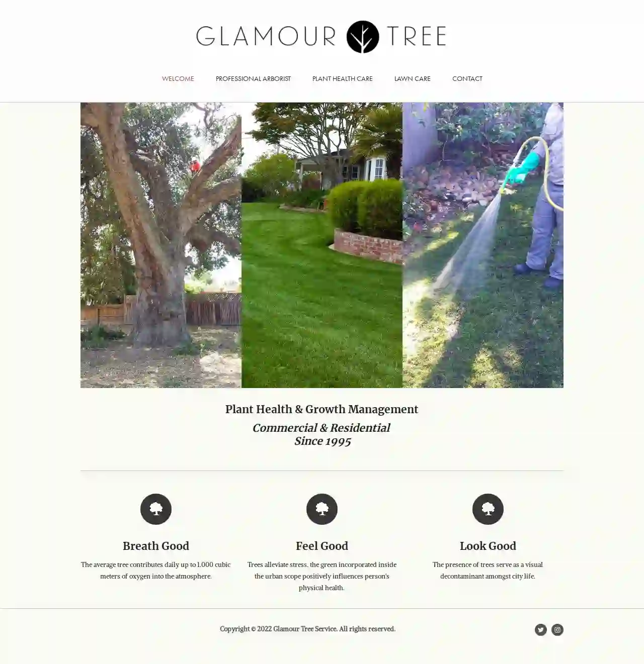 Glamour Tree Inc