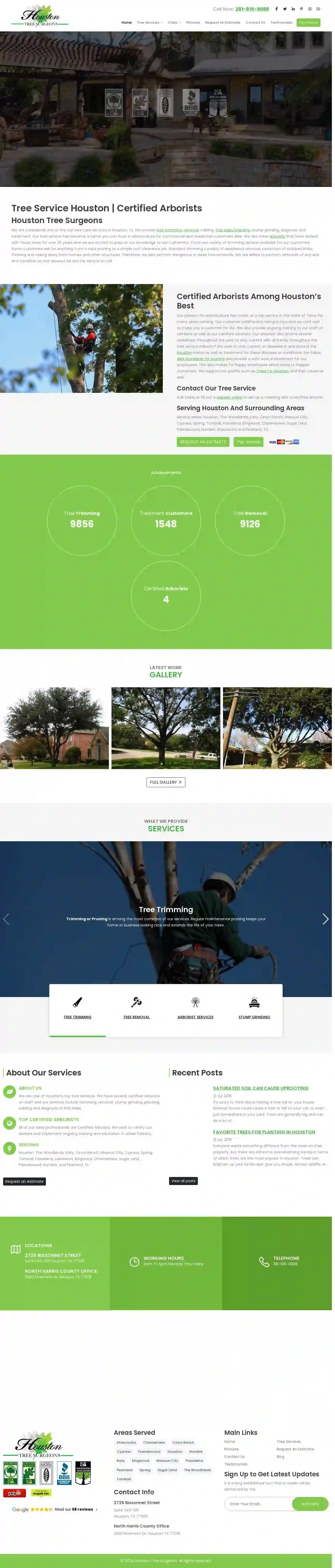 Houston Tree Surgeons