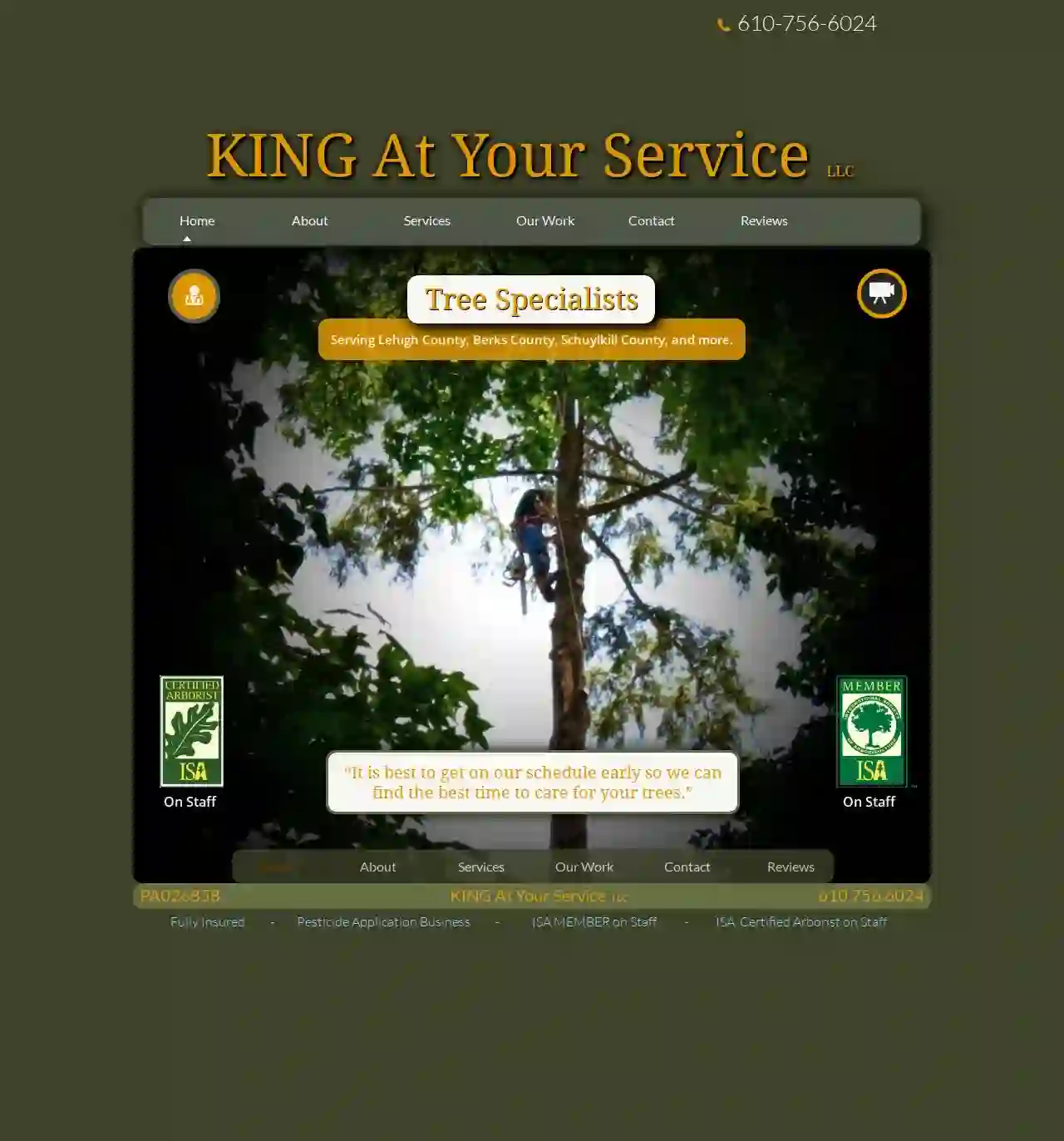 KING At Your Service - Tree Company