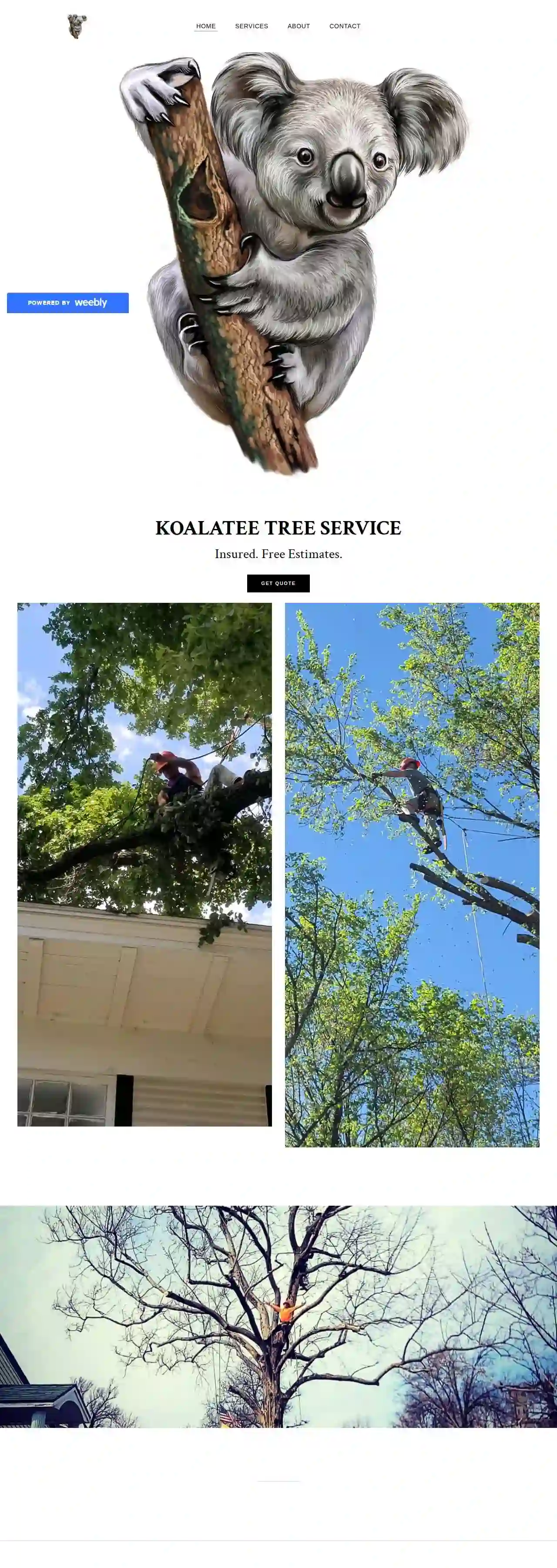 Koalatee Tree Service