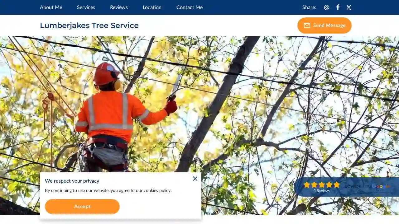 Lumberjakes Tree Service