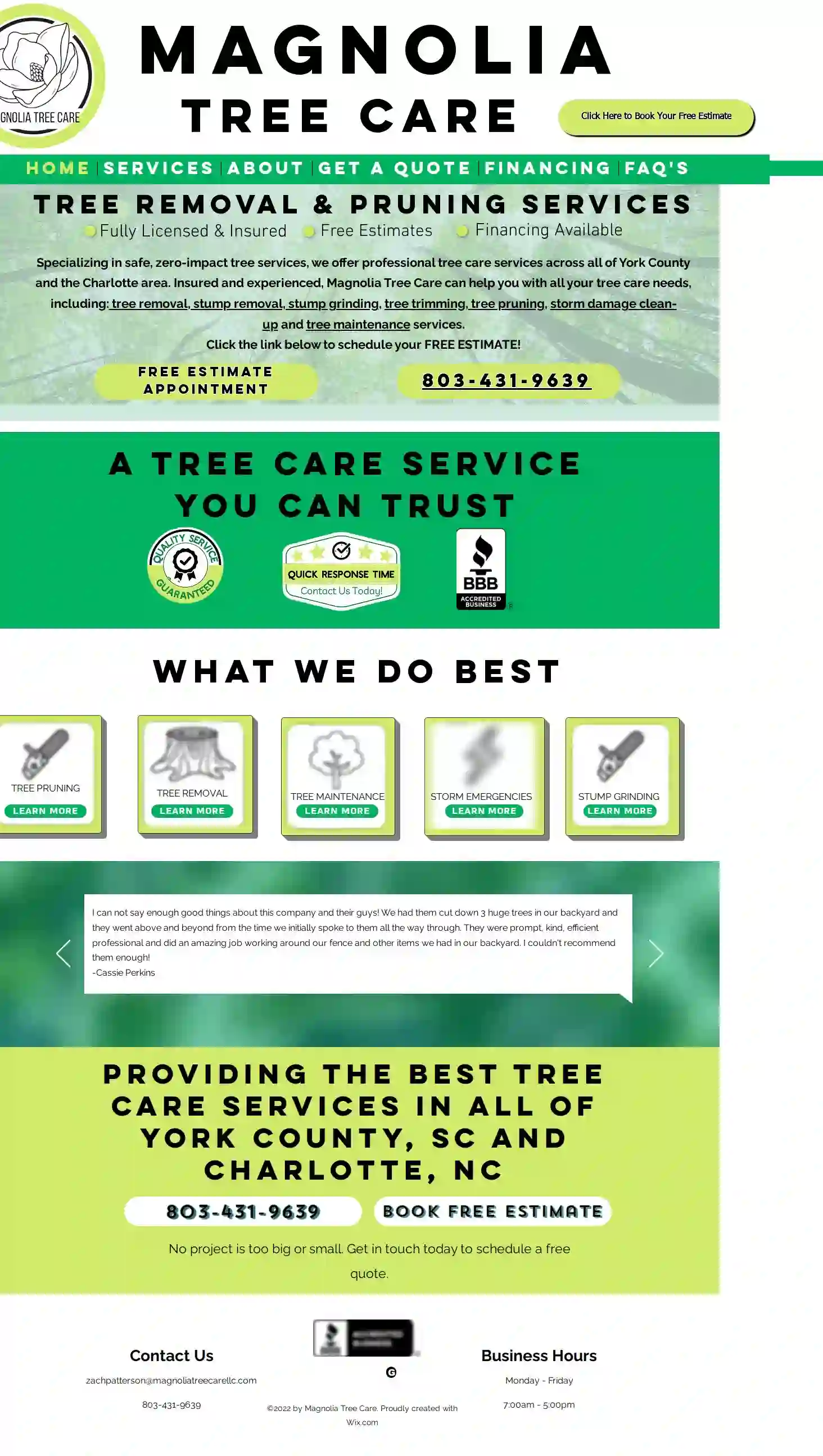 Magnolia Tree Care