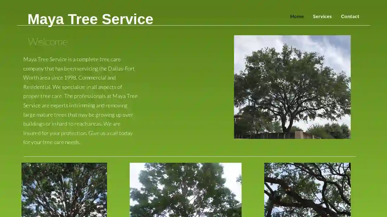 Maya Tree Service