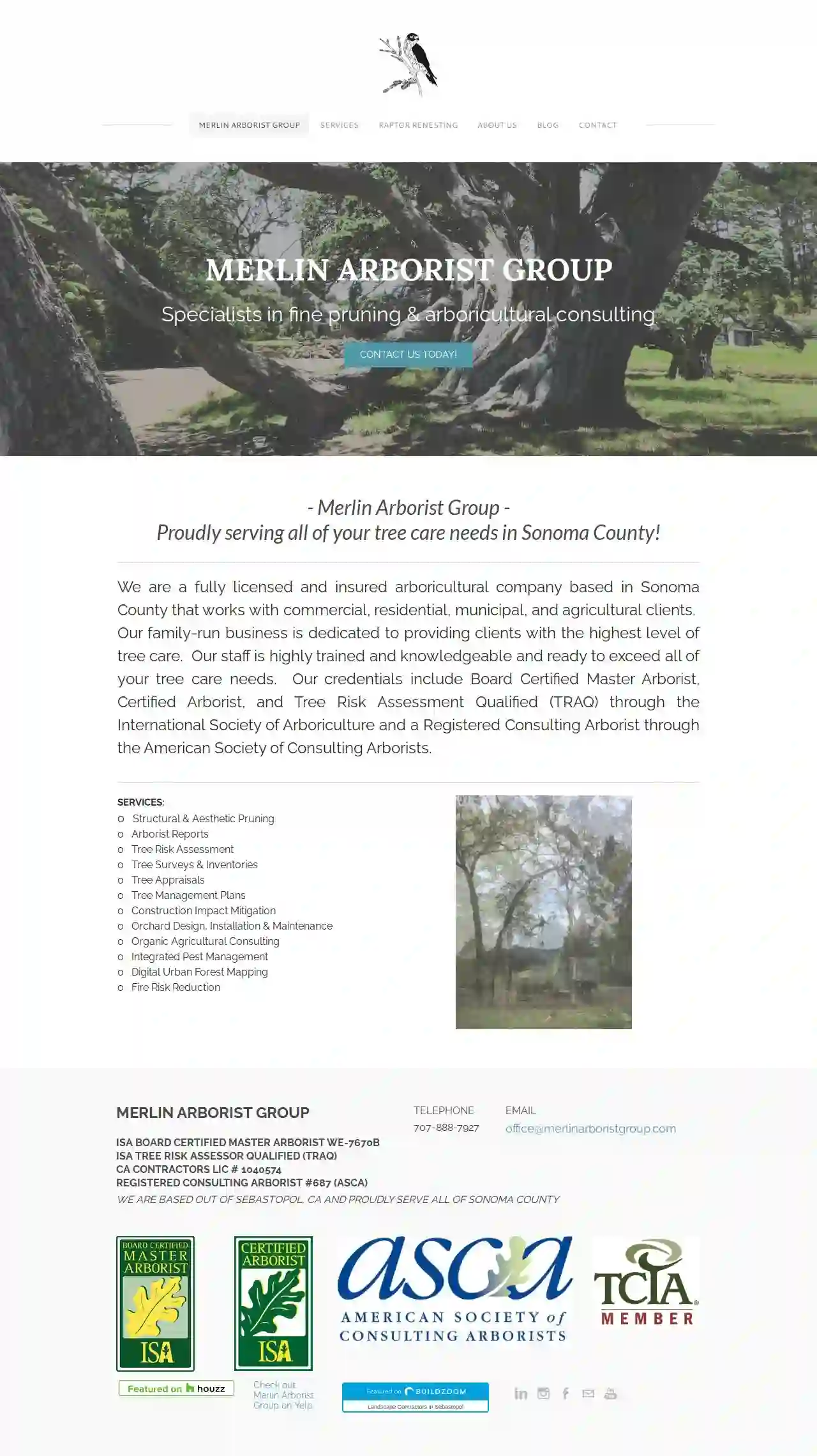 Merlin Arborist Group