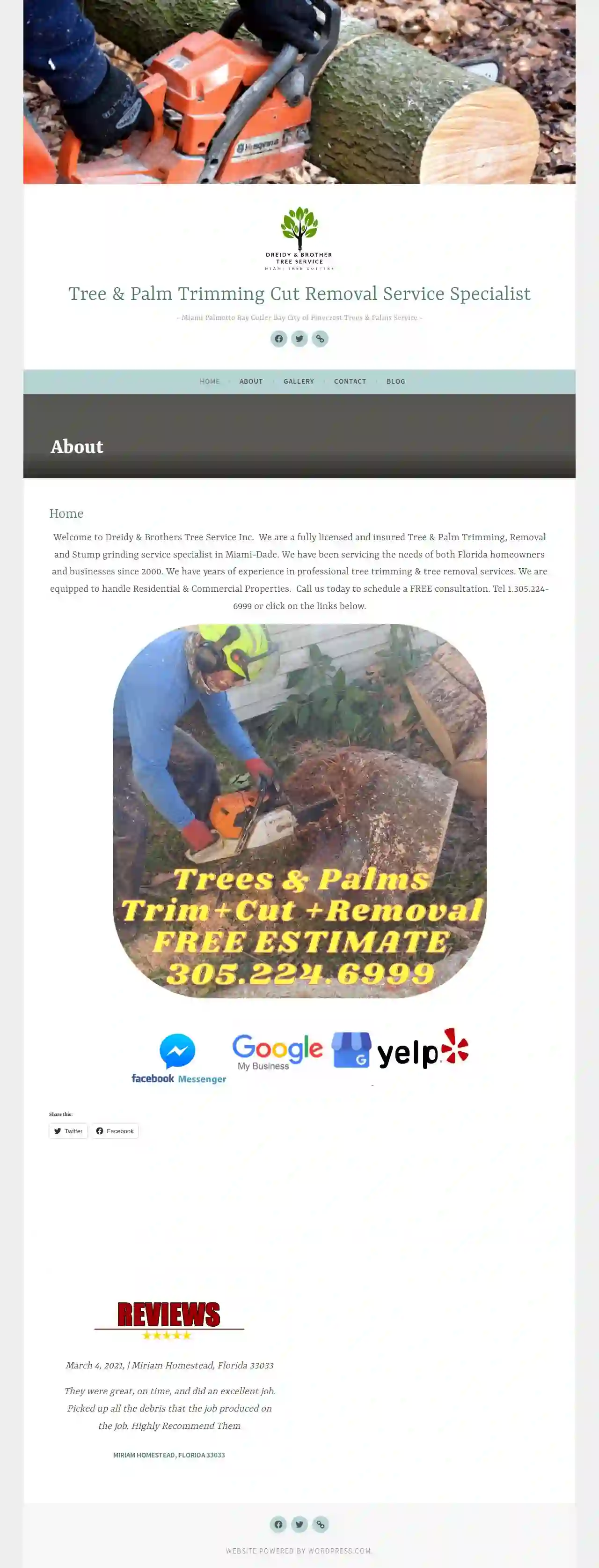 Dreidy & Brother Miami Tree Service | Palms Trim Cut Stump Removal Service