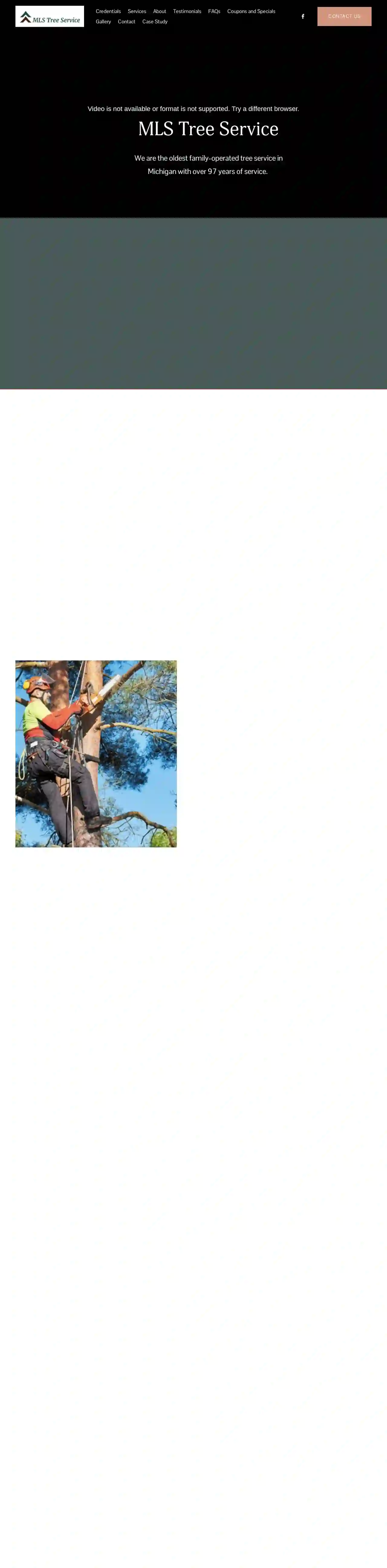 MLS Tree Services