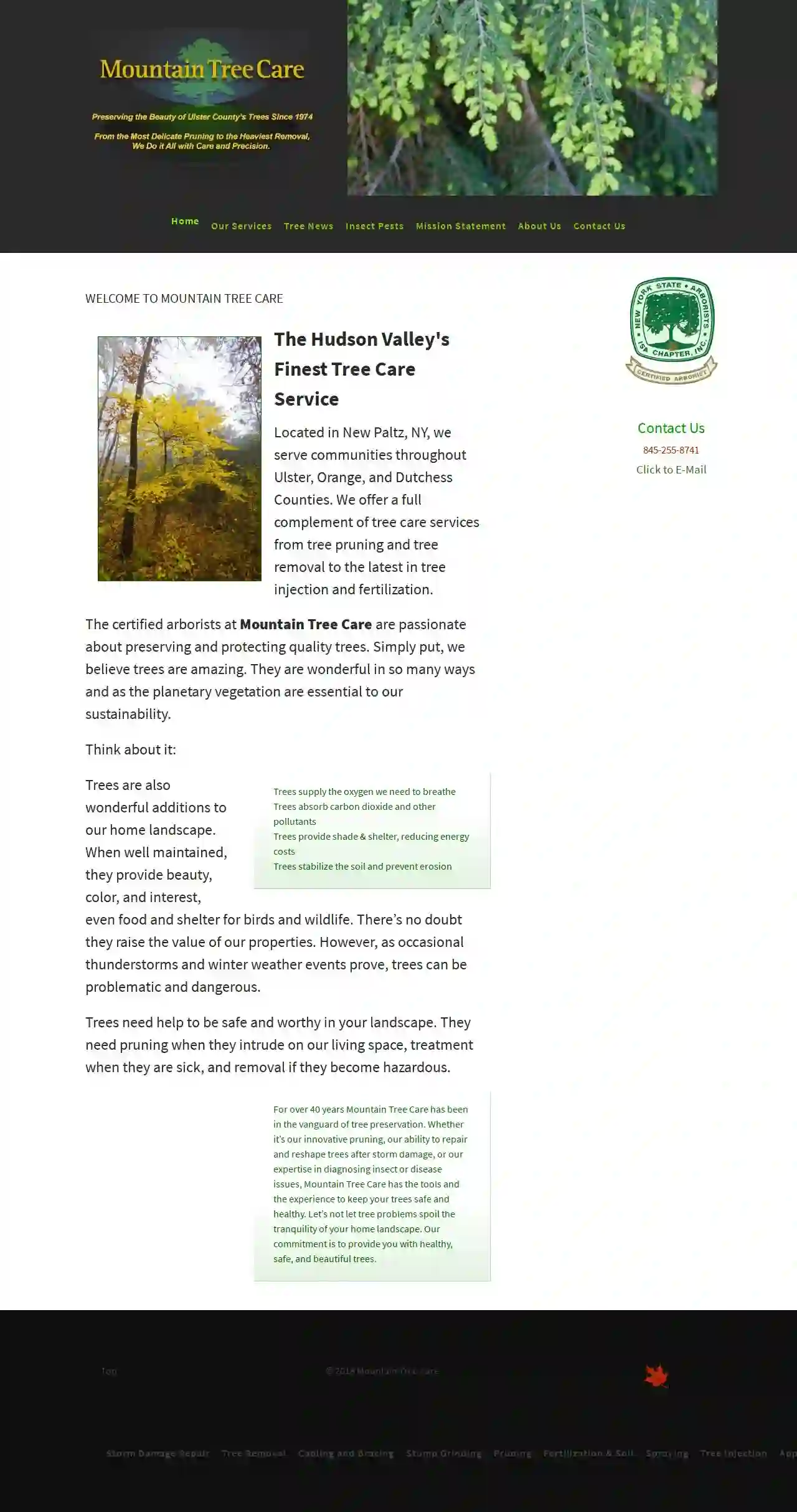 Mountain Tree Care