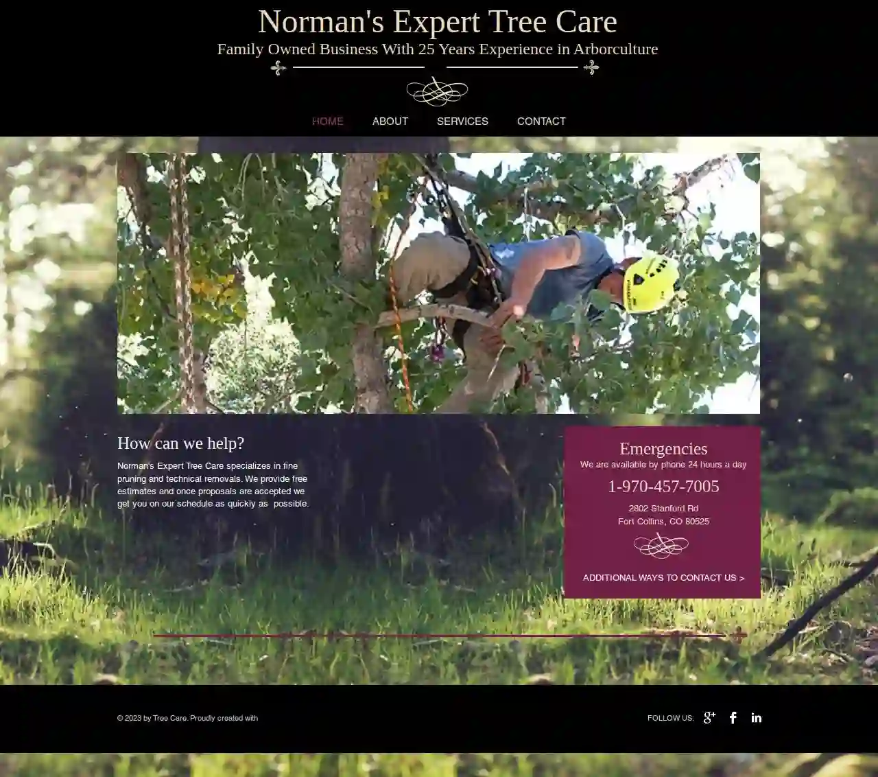 Norman's Expert Tree Care