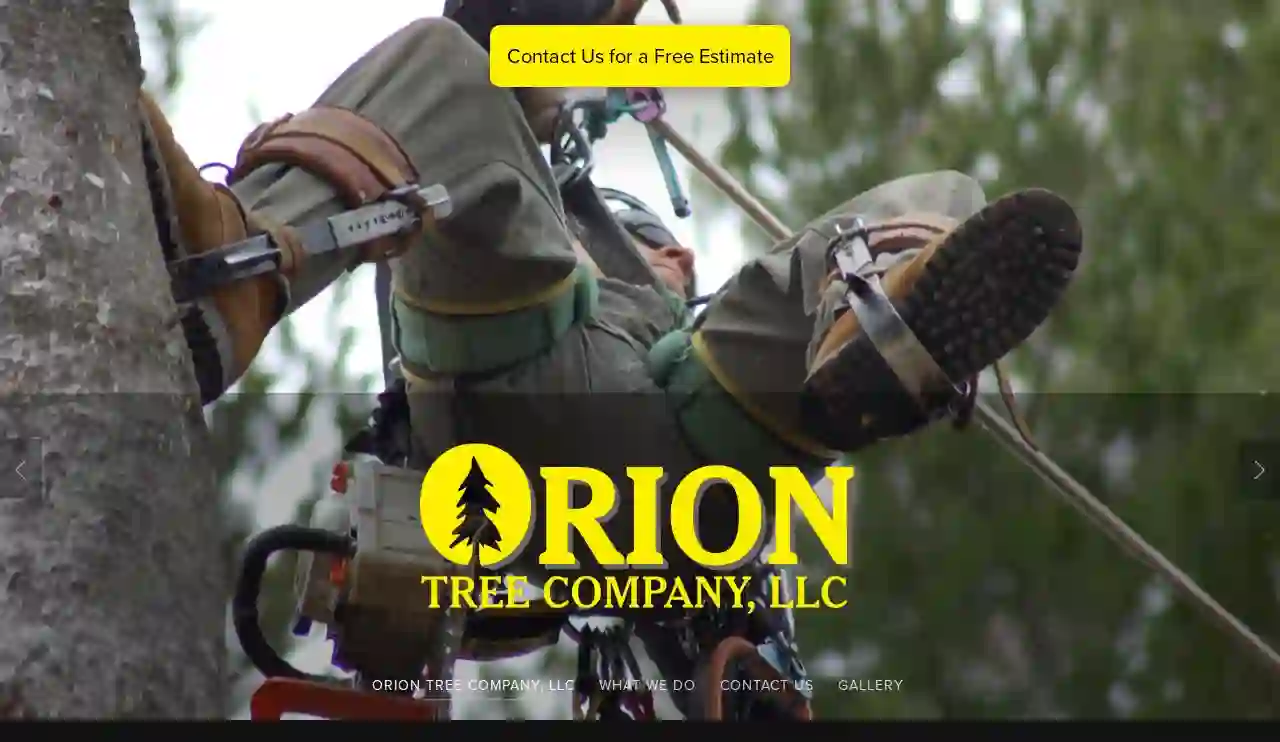 Orion Tree Company