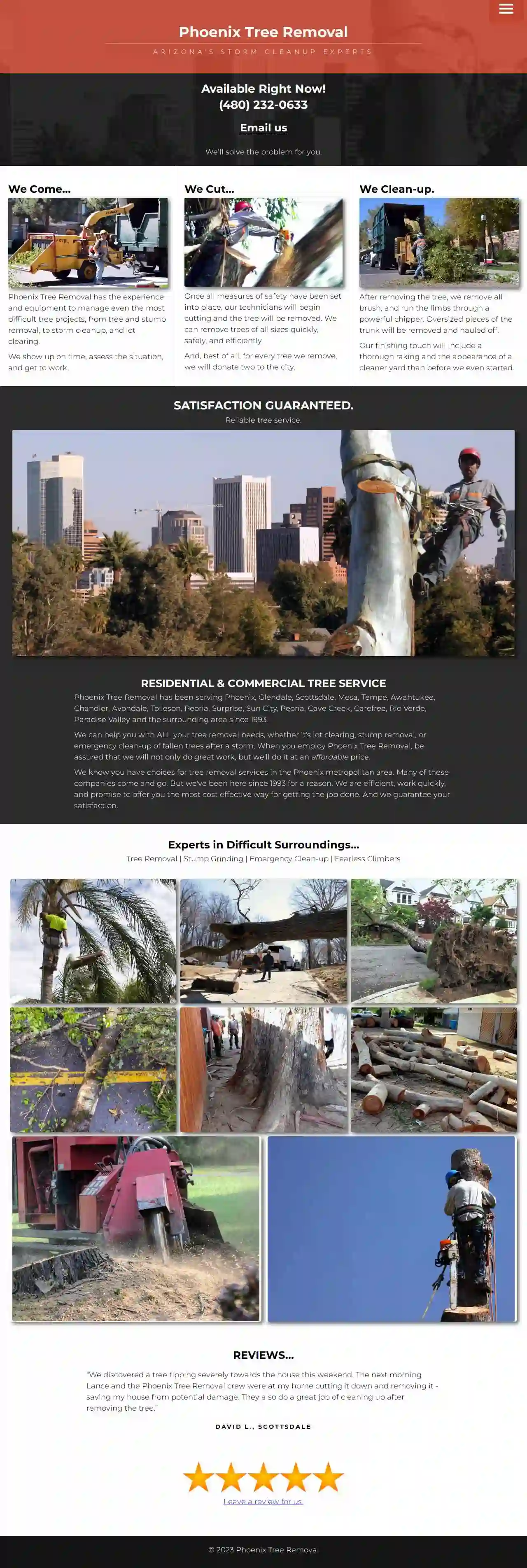 Phoenix Tree Removal