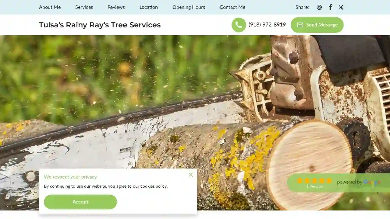 Tulsa's Rainy Ray's Tree Services