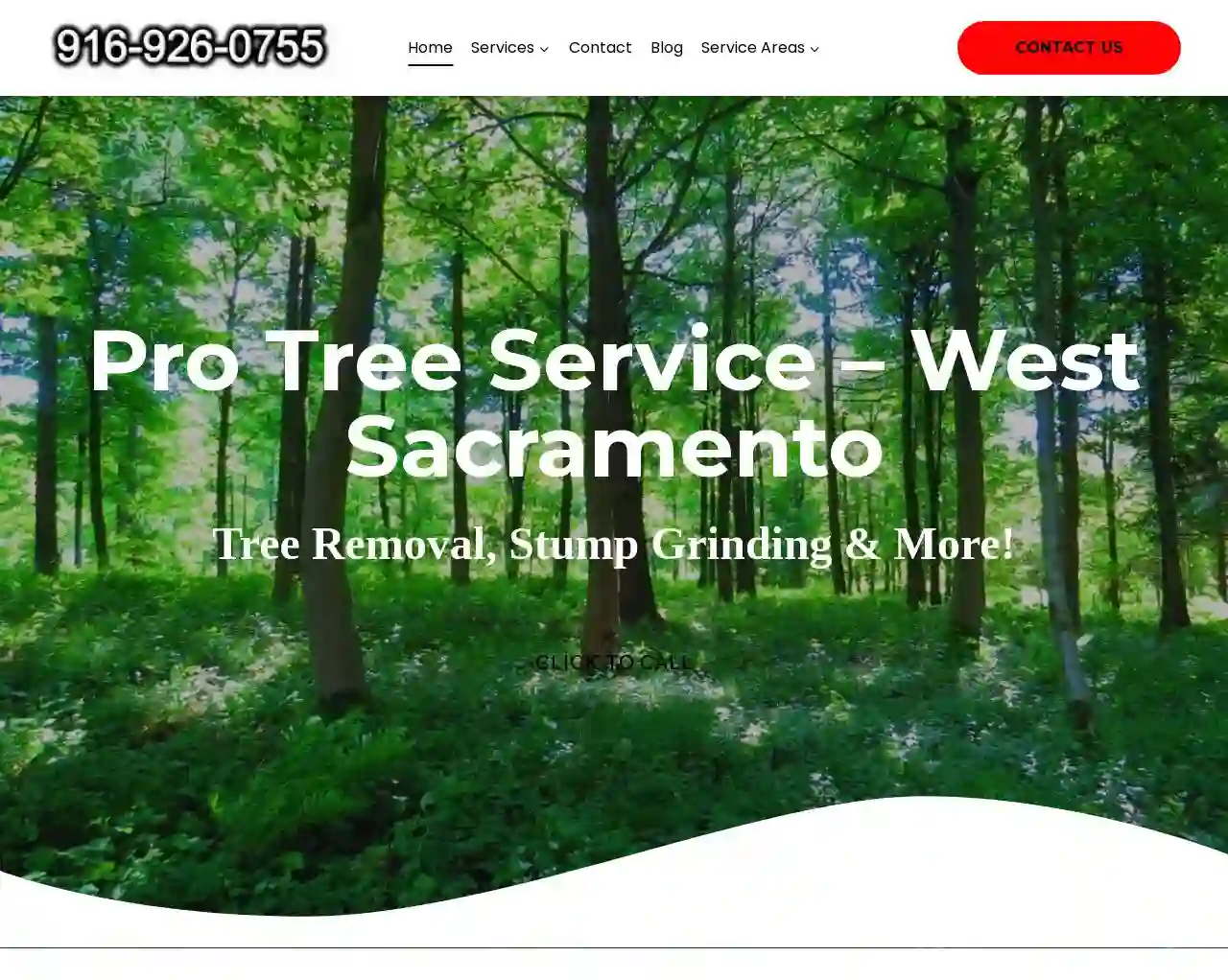 West Sacramento Tree Services LLC