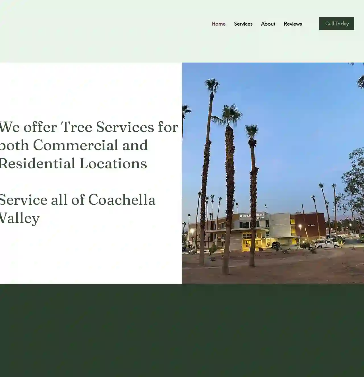 SoCal View Tree and Palm Services