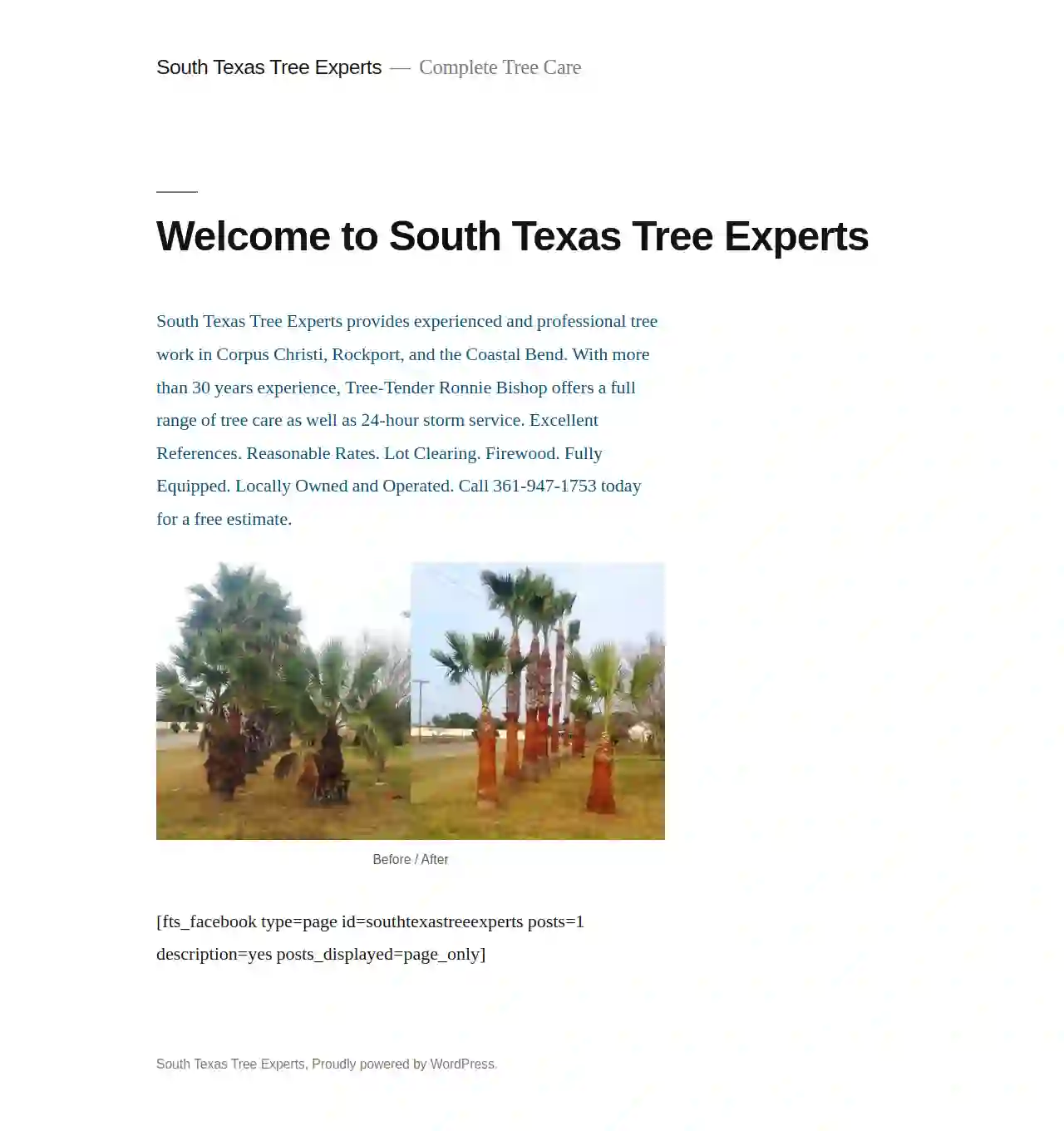 South Texas Tree Experts