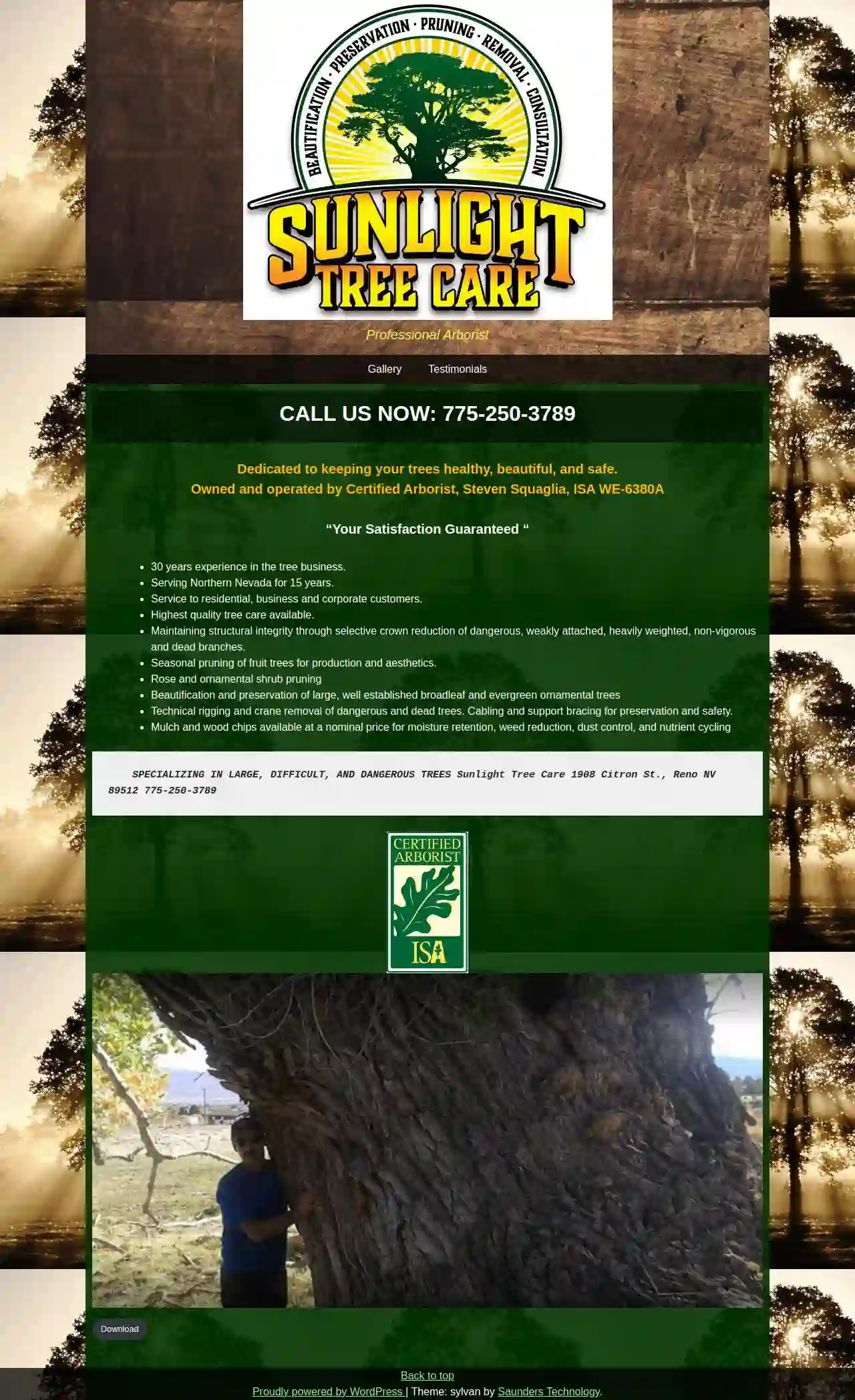 Sunlight Tree Care