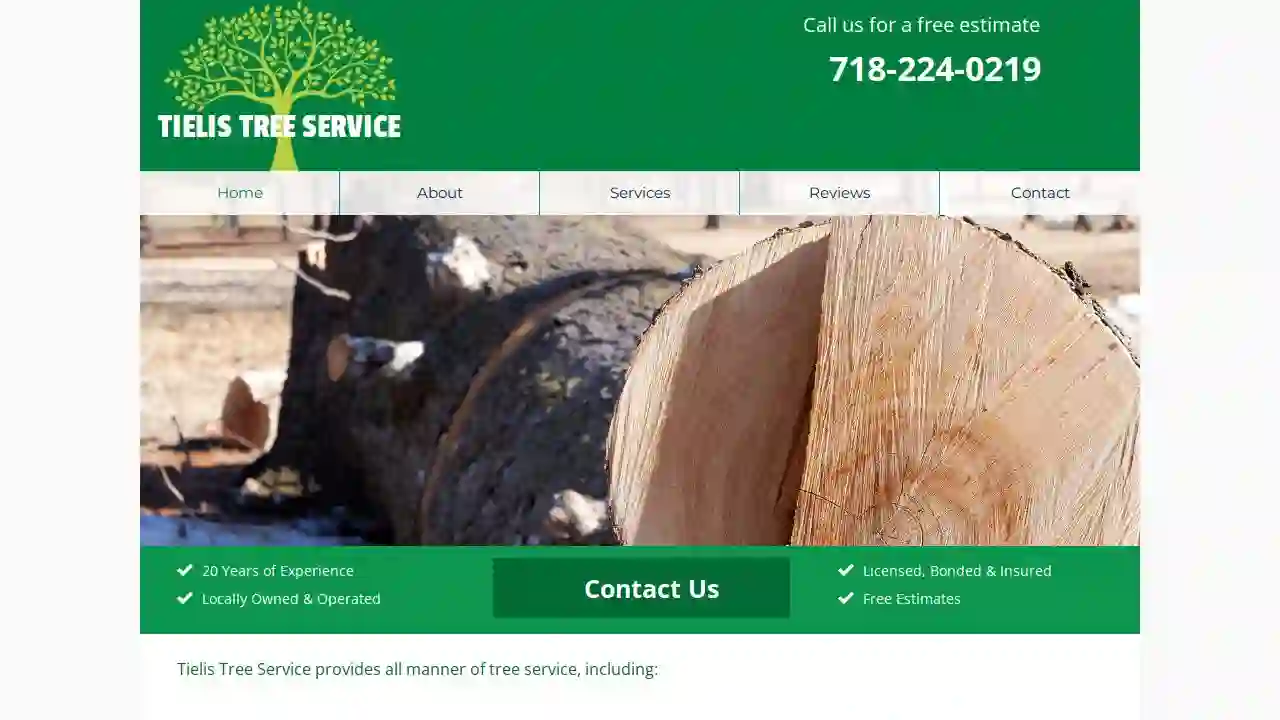 TIELIS TREE SERVICE AND LANDSCAPING