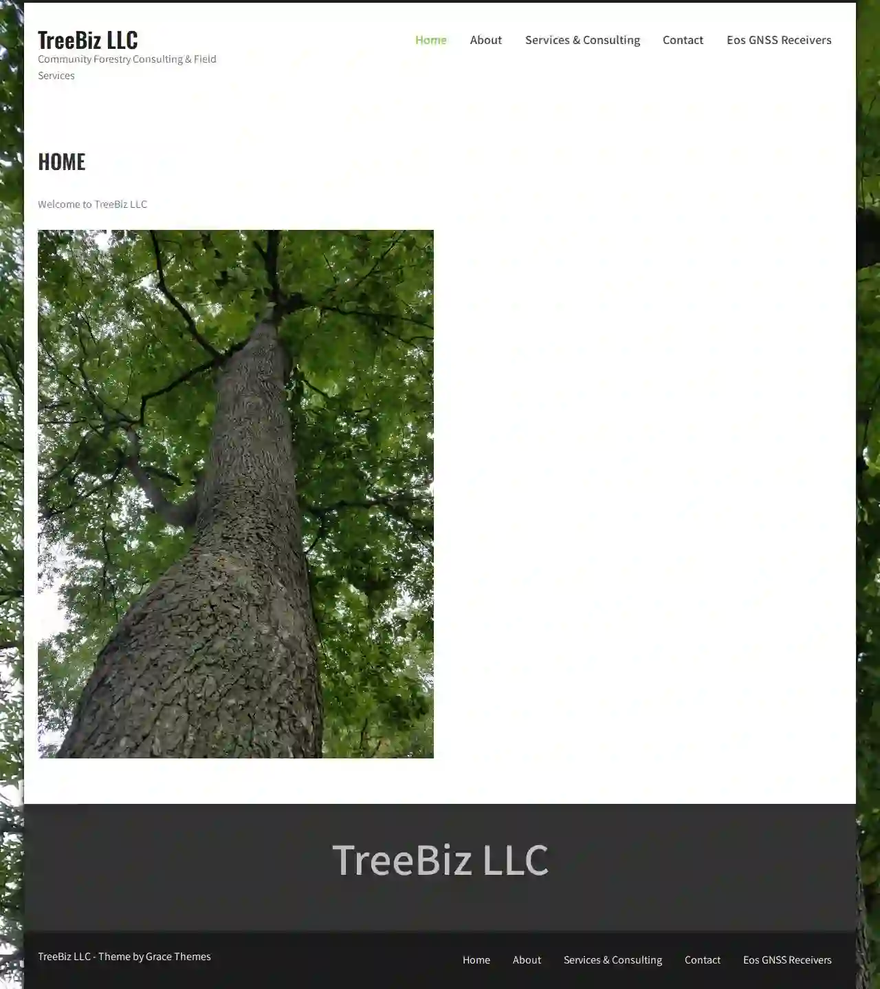 TreeBiz LLC