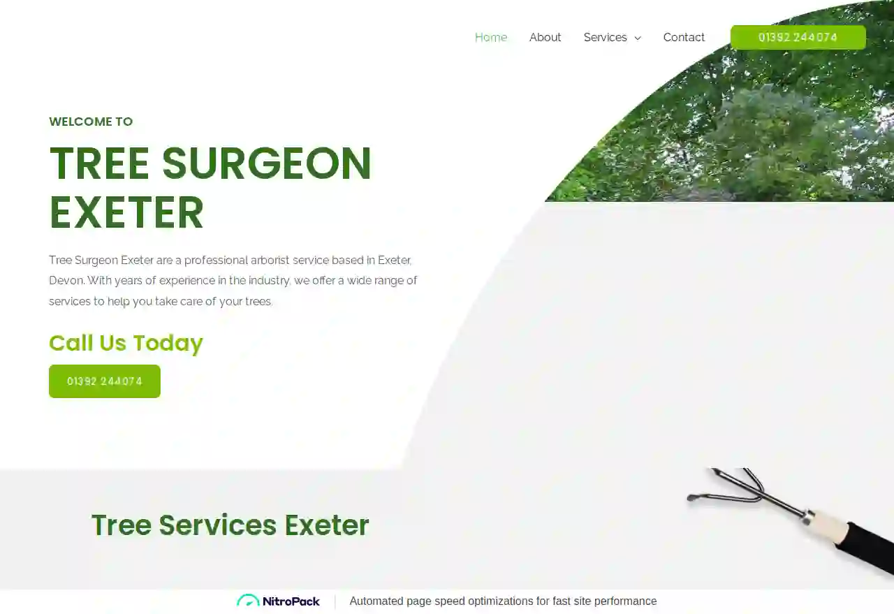 Tree Surgeon Exeter