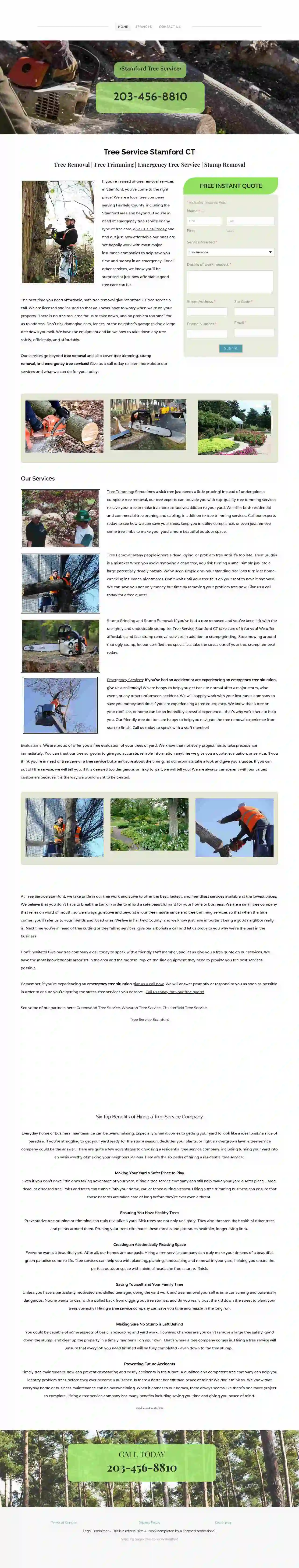 Tree Service Stamford