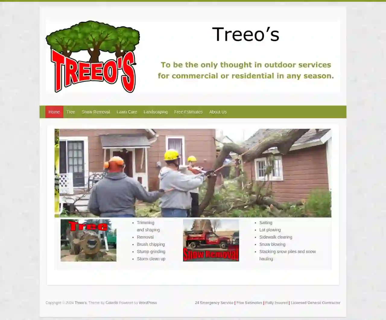 Treeo's Services