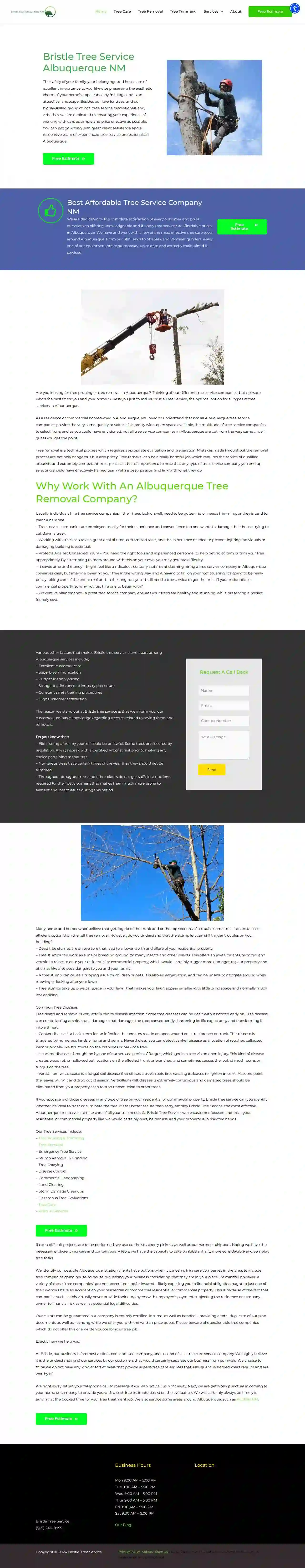 Bristle Tree Service Albuquerque