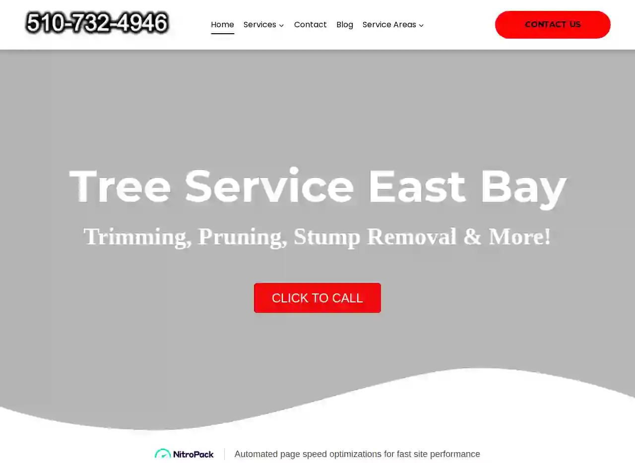 East Bay Tree Service