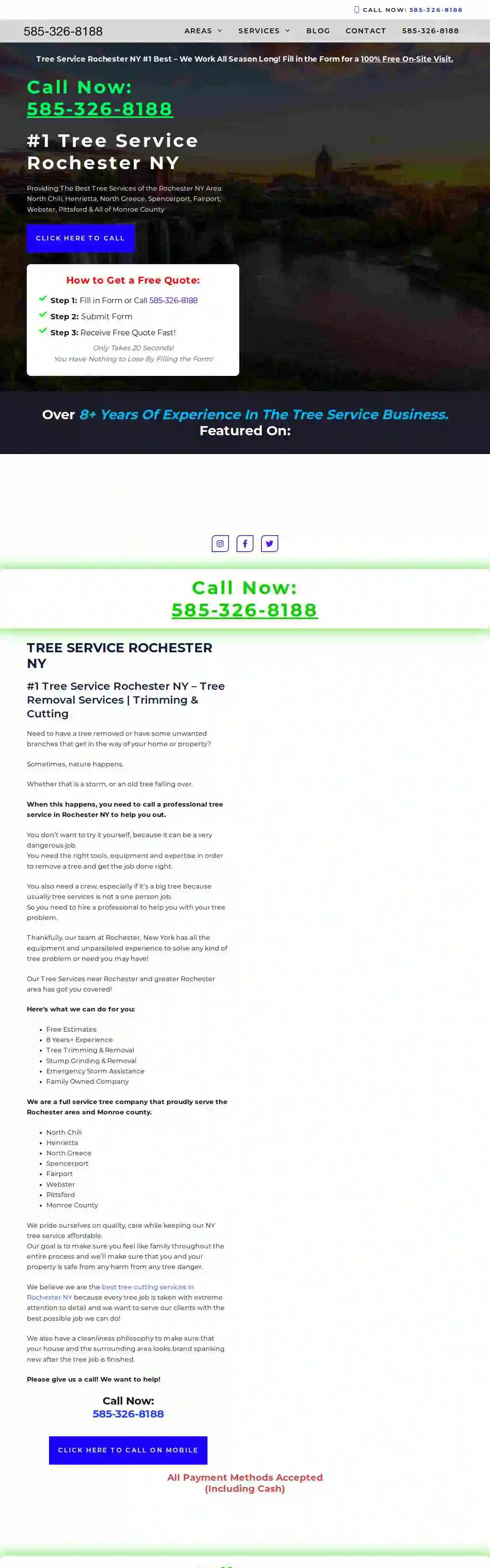 Tree Service Rochester NY