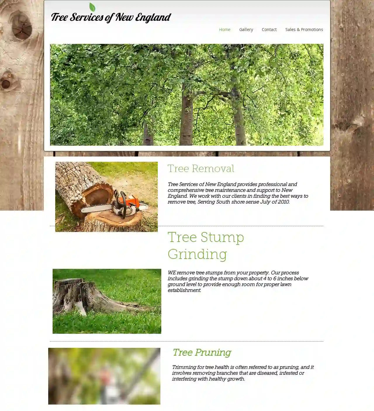 Tree Services of New England