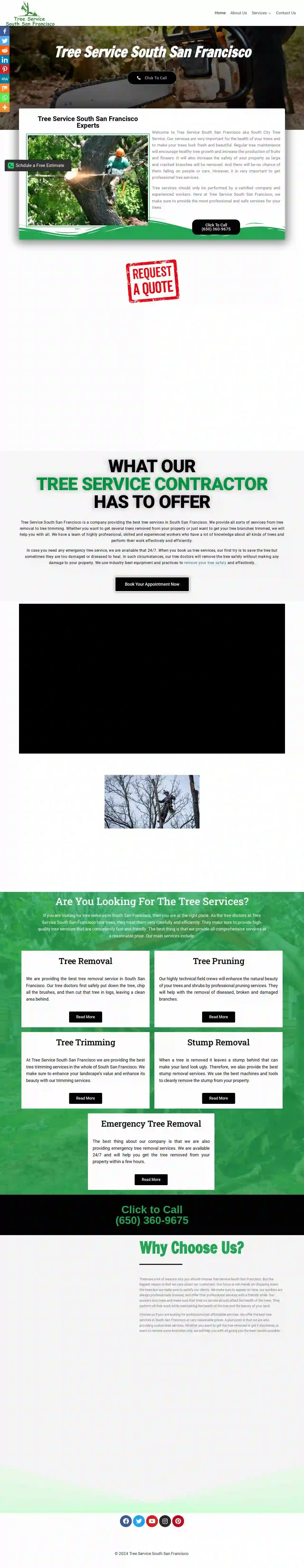 Tree Service South San Francisco