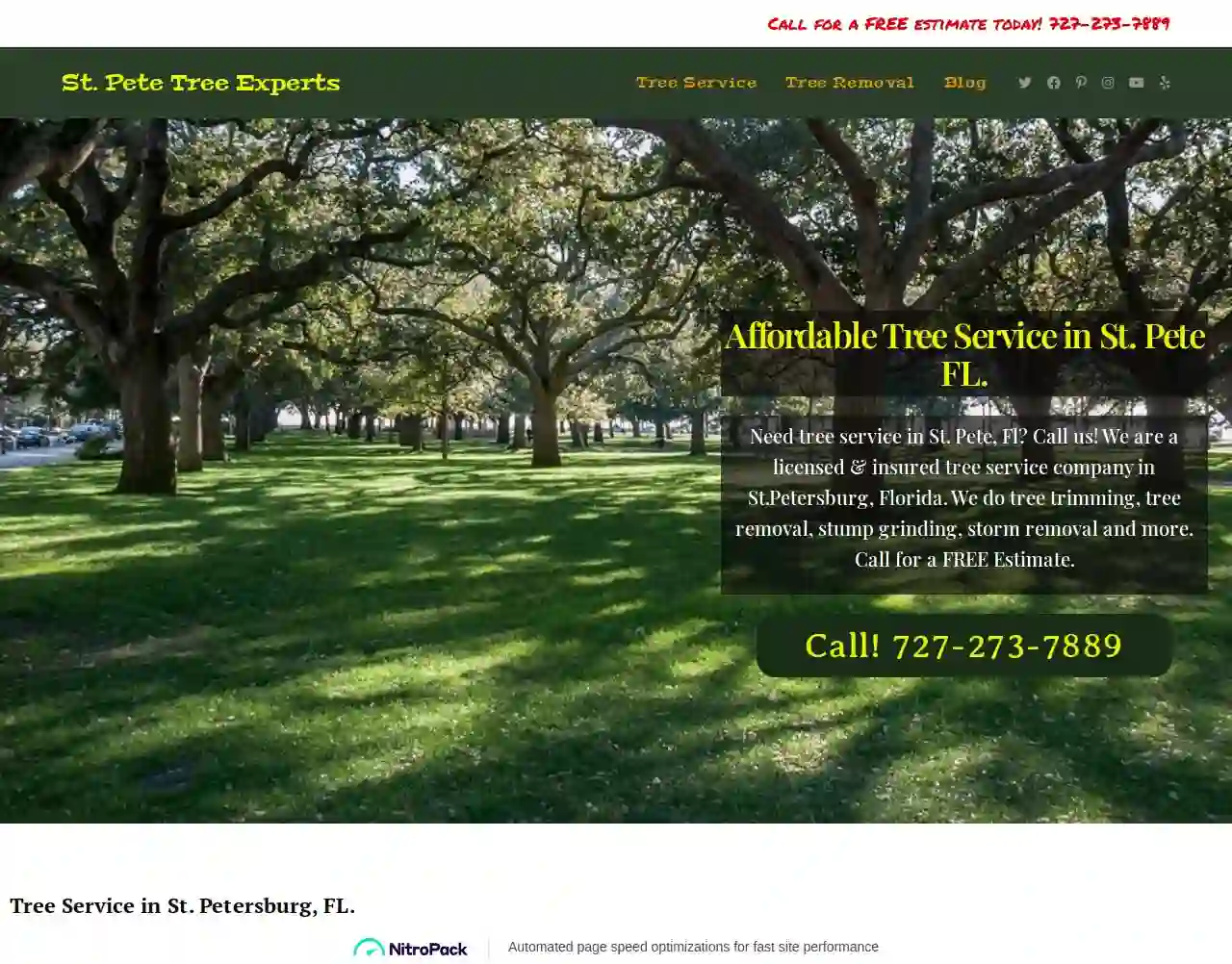 St. Pete Tree Experts