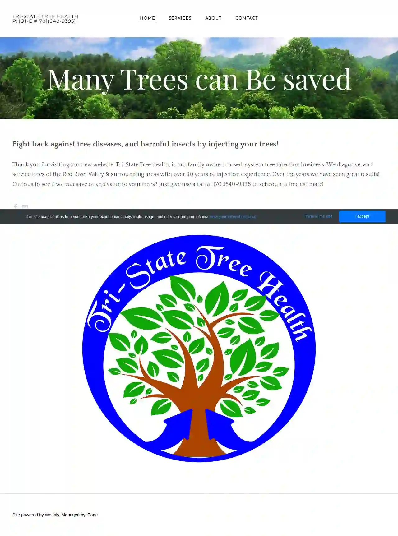 Tri-State Tree health