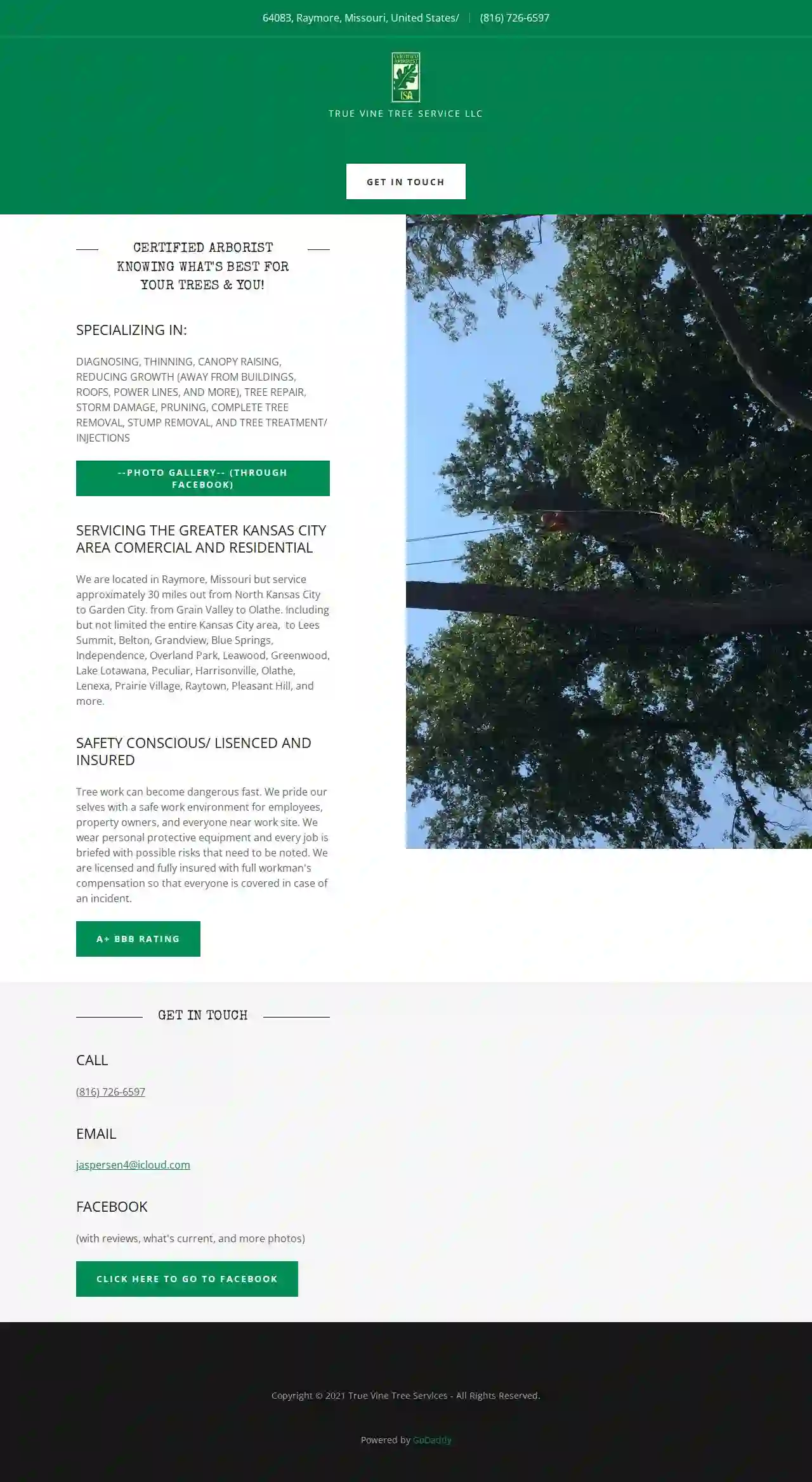 True Vine Tree Service LLC